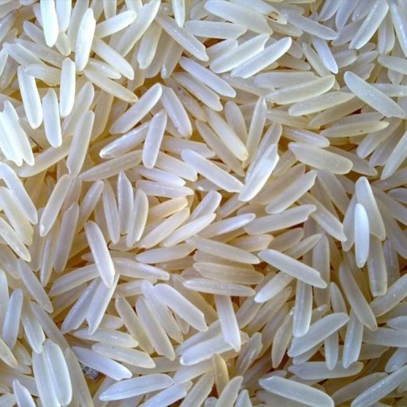 1121 White Sella